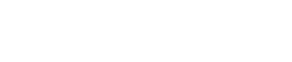 samoster_silvertrace_rev